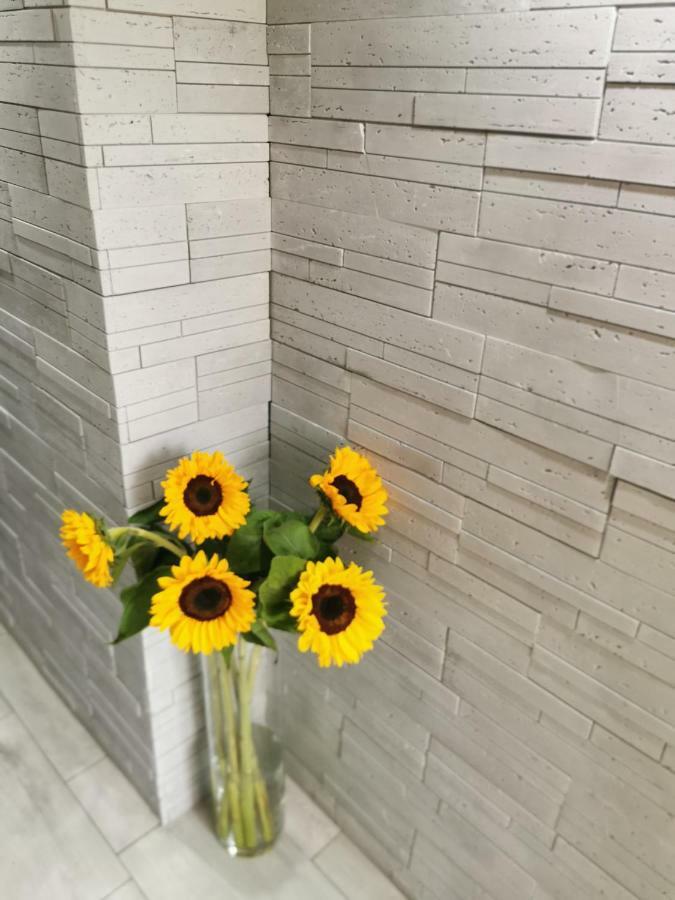 Gorski Apartament W Szczyrku Kültér fotó